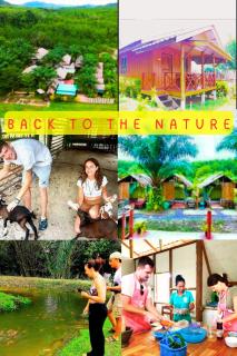YaoIsland Resort and Farm - 0