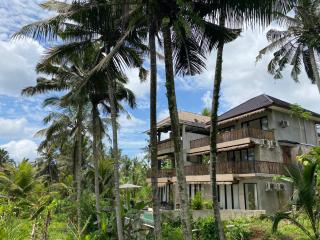 Bali View Ubud Hotel - 0