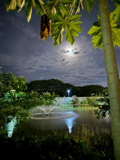 Moon Stars Mars homestay-Mars Room - 6