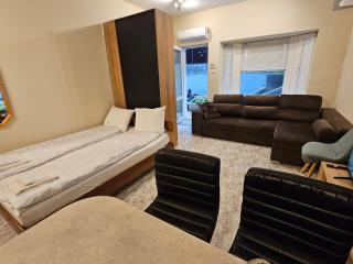 Bright and Cozy Studio with Garage near the Center - 0