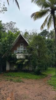 Poomala Holiday Village - Mulagunnathukāvu - 0