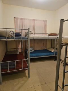 Sheeva Backpacker Hostel - 8
