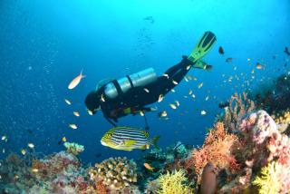 Ritrella Floating Hotel - 6