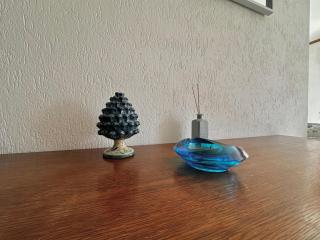 Large family appartament with pool - 7