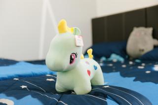 Cozy homestay Manhattan Ipoh,12 pax 怡保民宿 - 3