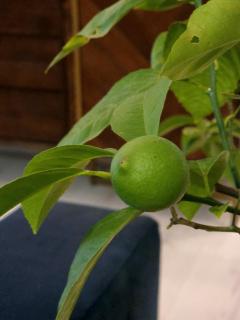 GLAMOUR VOX Jacuzzi & Club - 4