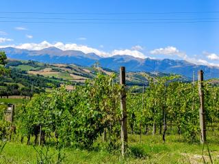 Casetta Mentuccia - 4