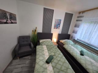 Exklusives und helles Erdgeschoss-Apartment No 5 im Zentrum von Kassel, schnelles 1Gbit Internet, Geschirrspüler, Boxspringbetten - 9