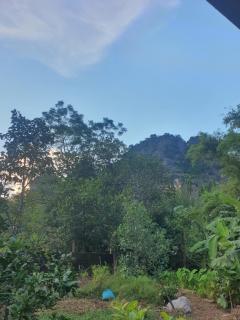 Nha Xanh Ninh Binh Homestay - 3
