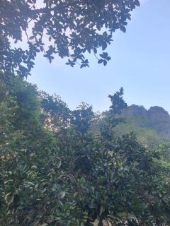 Nha Xanh Ninh Binh Homestay - 2