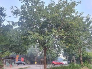 Nha Xanh Ninh Binh Homestay - 1