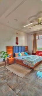 Dhauladhar Balcony - 3