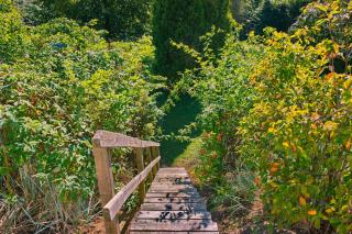 NEU! Ferienhäuser - Heringsdorf - 7