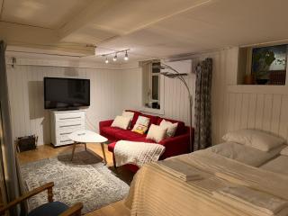 PAX -In The Heart of the Aurora Borealis - 2