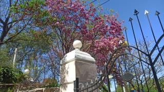 Departamento los lapachos - 9