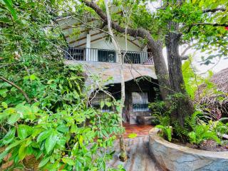 Skyp Lake jungle - 1