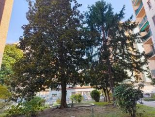 Attico Lux - trilocale elegante Metropolitana Blu - 1