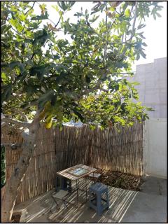 earth home - 9