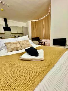 Luxury Apartment with Grand Living Space London - 8