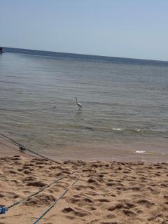 Royal Home Sea view Montazah Sharm, Airport&Soho - 1