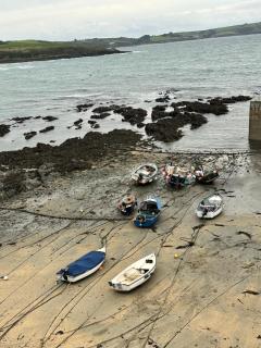 Plume of Feathers - 3