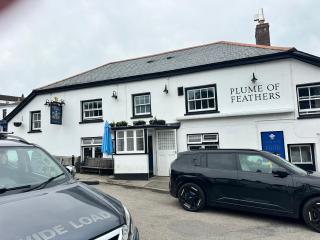 Plume of Feathers - 1