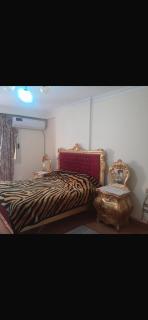 Fully furnished 3 bedroom apartment in Cairo Egypt - 2