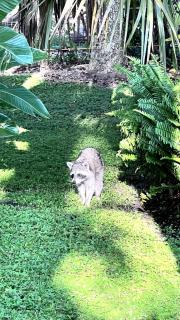 Rustic Elegance Farmhouse, Sanford Farms, Fl - 1