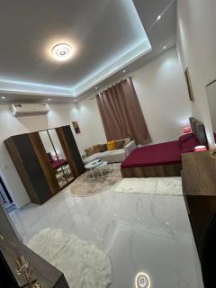 Stylish Studio 5 minutes from ADNEC - 5