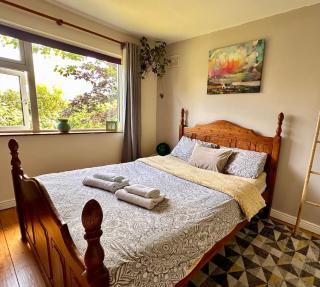 Spacious Private Home and Plant Paradise in Limerick City - 3