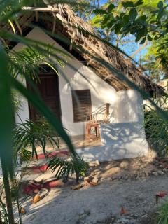 Olga Beach Nungwi - 0