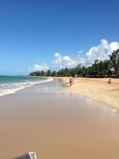 Beachfront Paradise - 0