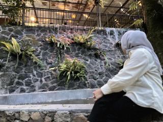 The Pinewood Lodge and Organic Farm - Paragajen - 4