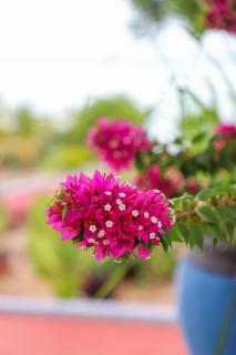 Menai Bay Escape - 2