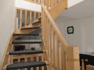 Bord Charente face Pôle Magelis - T2b Triplex - Angoulême - 2