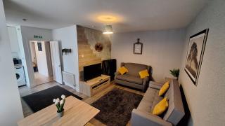 Modern 2 bedroom and 2 bath apartment - 4