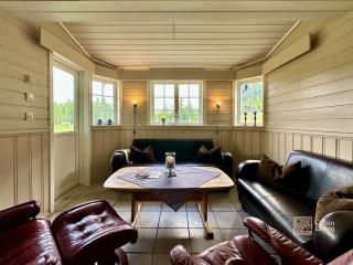 Spacious cabin in Hemsedal with sauna, near slopes - 0
