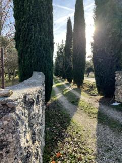 Casa Rural con chimenea, piscina y vistas al río - 9