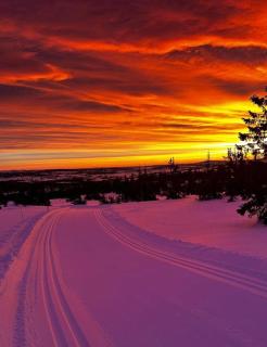 Magical Winter Days At Sjusjøen - 8