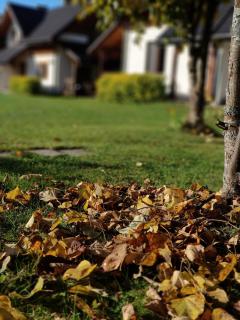 Chaty Gajowego w Bieszczadach - 7