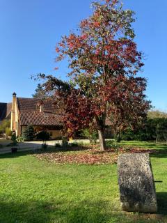 La Ferme de Maraval - 9