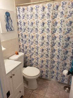 Beachside 2BR Daytona Beach Shores private home - 7