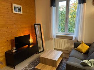 Colmar proche centre, marchés de Noël 10min à pied, parking gratuit F2 au calme - 8