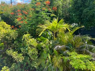 Habitation Quenette - 2