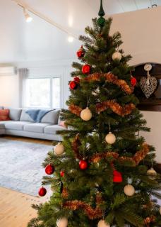 Charming Riverfront Home Just Minutes from Santa Claus Village - 5