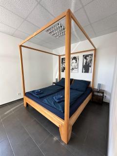 Loft Trier-Petrisberg - Trèves - 3