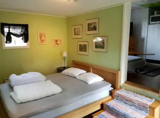 Mysig Fin stor stuga för 8 personer både på sommar och vinter! - 5