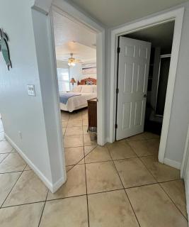 Barefoot Beach Resort in Indian Shores Minutes from Clearwater Beach - 3
