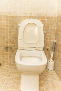 Flat, Oniru, Victoria Island - 8