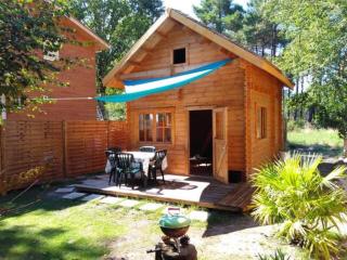 Chalet en lisiere de Foret - 1